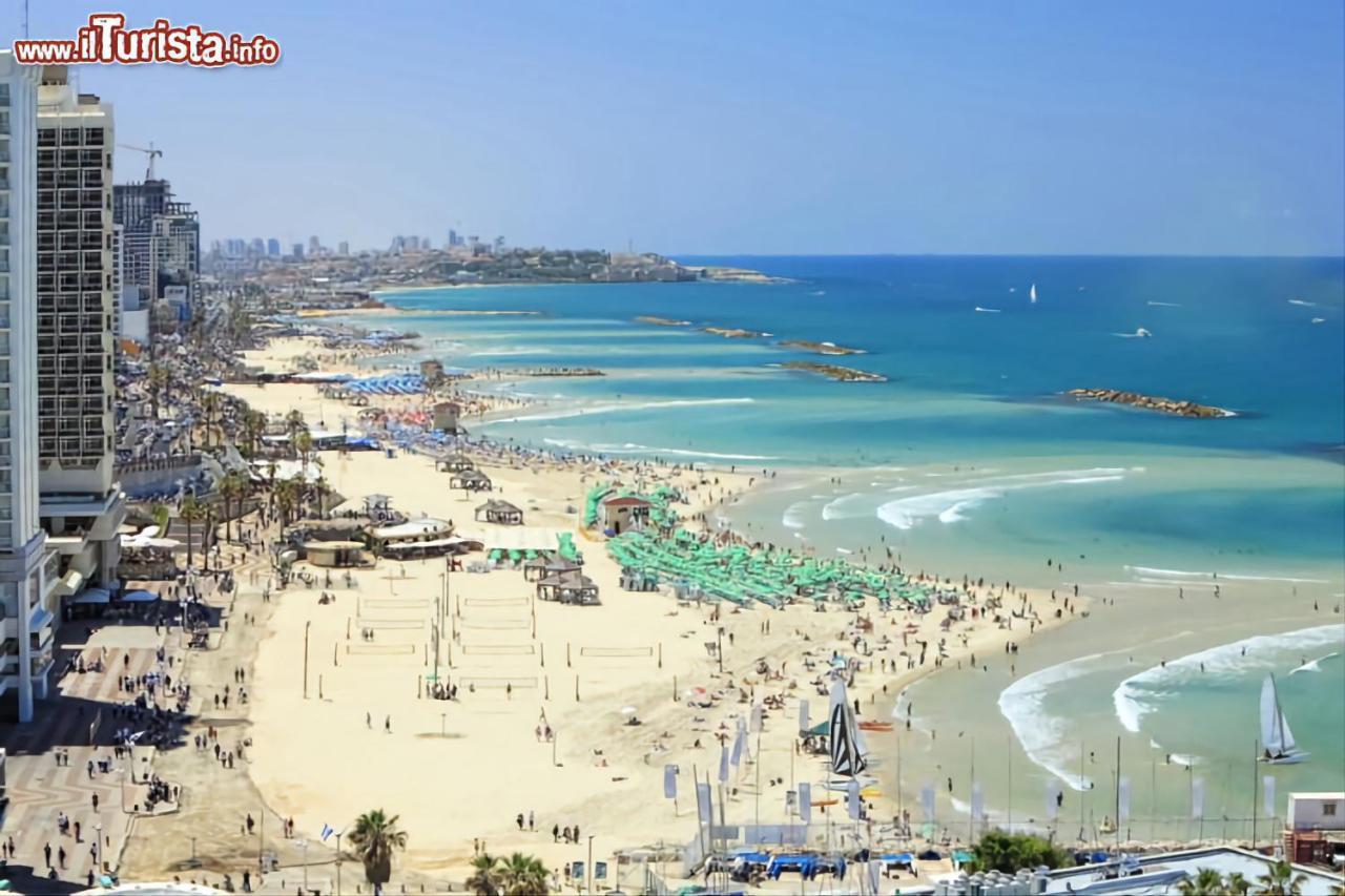 Apt Heart Tlv Arnon 50 Mt From Sea Lejlighed Tel Aviv Eksteriør billede